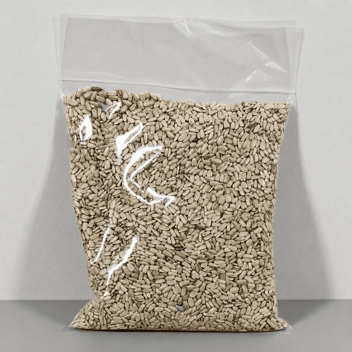 Nature Grains White Sunflower Seeds 1kg