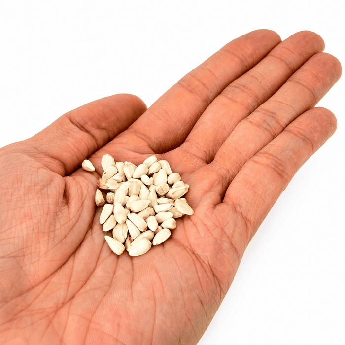 Nature Grains! Safflower Seeds 1kg for Pet Birds
