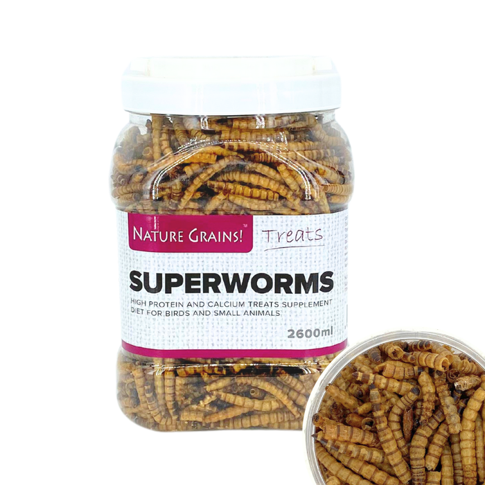 Nature Grains! Superworms 550ml/2600ml