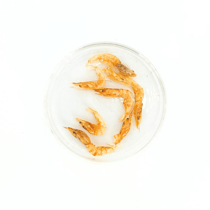 Nature Grains! Shrimp (550ml/2600ml)