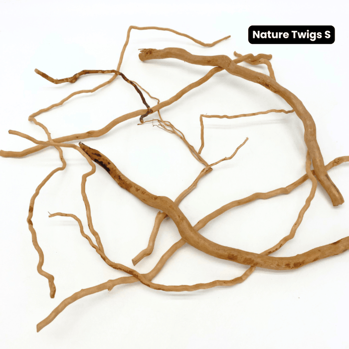 ANS Nature Twigs 100g/200g