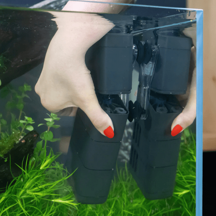 Oase EcoFlow (Internal Aquarium Filter) - (60/100/150/200)