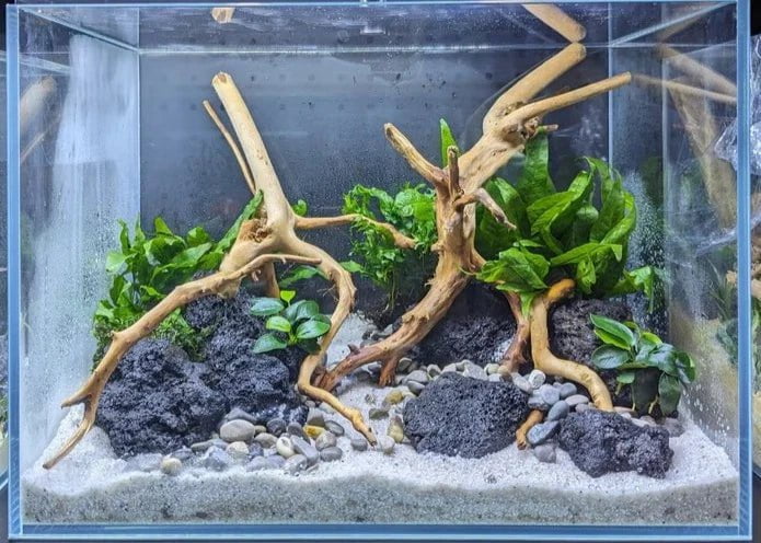 Low Maintenance Aquarium Setup Service (Without Tank)