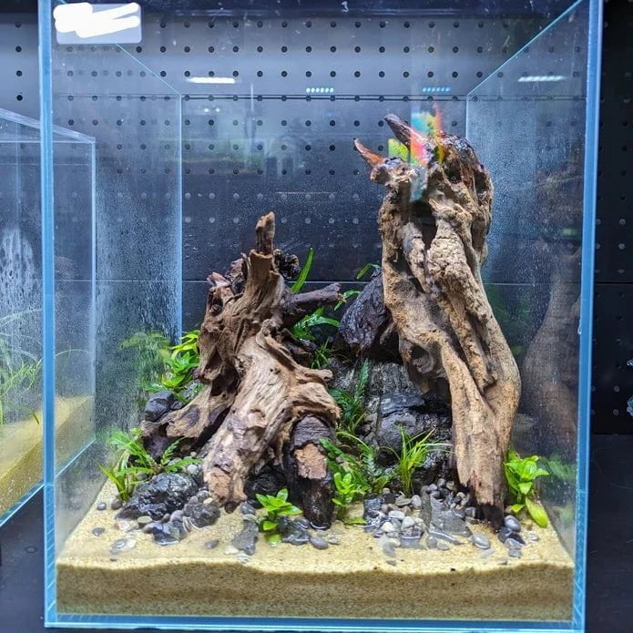 Low Maintenance Aquarium Setup Service (Without Tank)