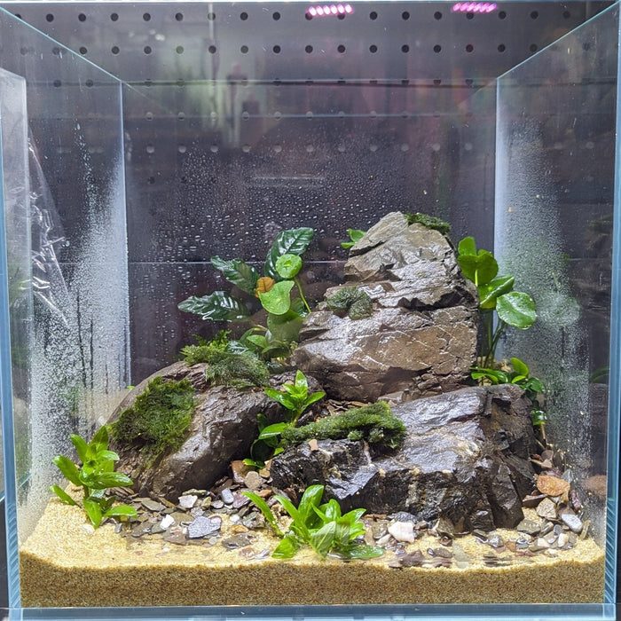 Low Maintenance Aquarium Setup Service (Without Tank)