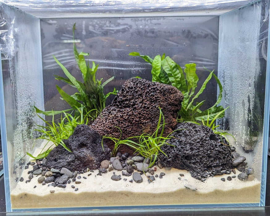 Low Maintenance Aquarium Setup Service (Without Tank)