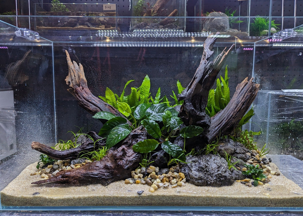 Low Maintenance Aquarium Setup Service (Without Tank)