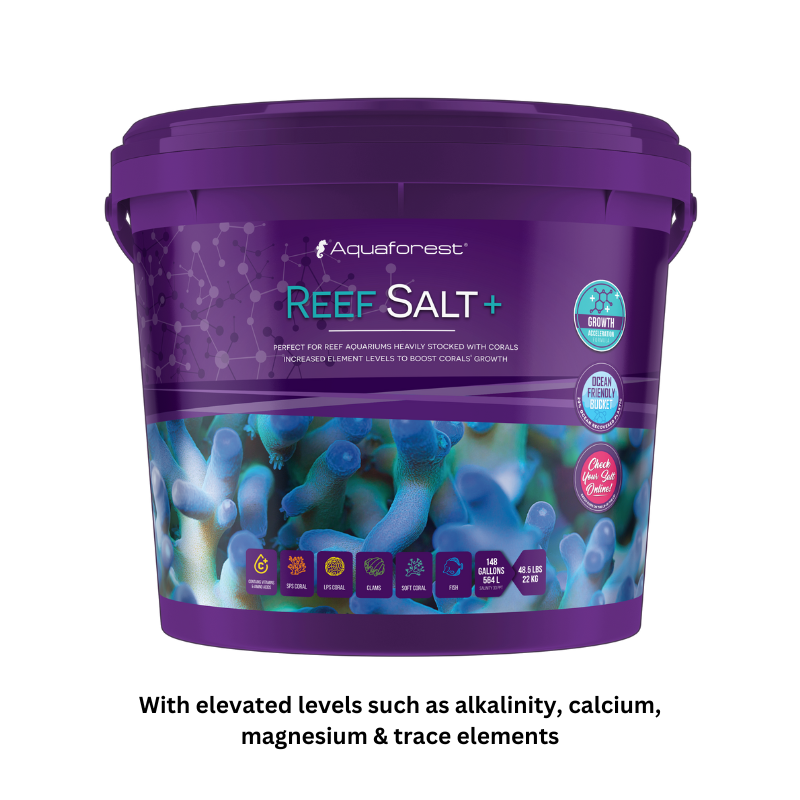 AF Reef Salt+ 5kg — East Ocean Aquatic