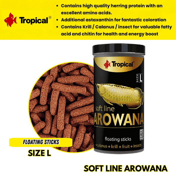 Tropical Soft Line Arowana Size L (Premium Colour enhancing)
