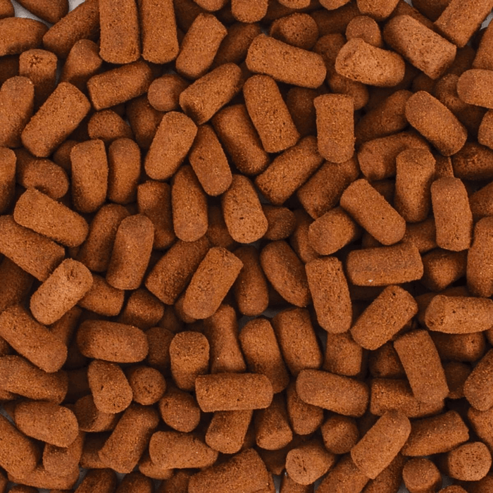 Tropical Soft Line Monster Fish (Premium color enchancer)