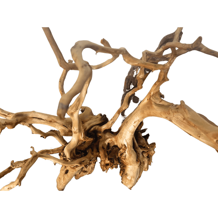 ANS Sumatra Driftwood (various size)