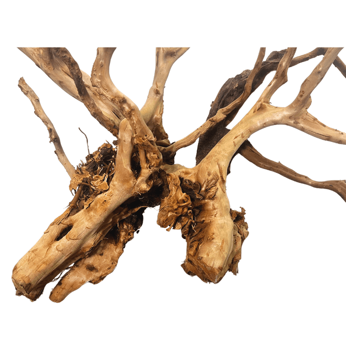 ANS Sumatra Driftwood XXL (E) 80-100cm