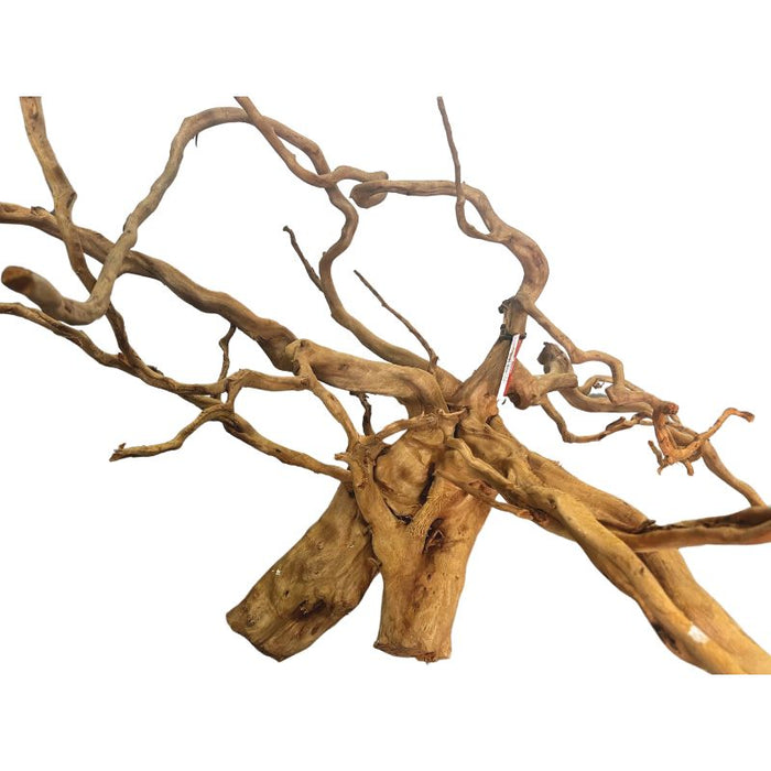 ANS Sumatra Driftwood (various size)