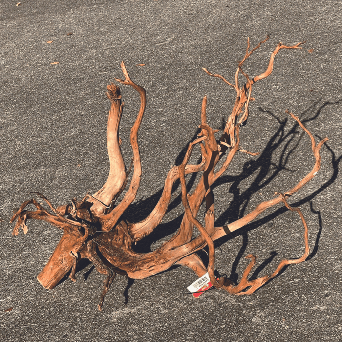 ANS Sumatra Driftwood (various size)