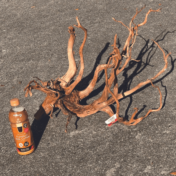 ANS Sumatra Driftwood (various size)