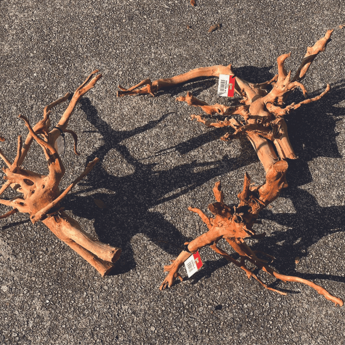 ANS Sumatra Driftwood (various size)