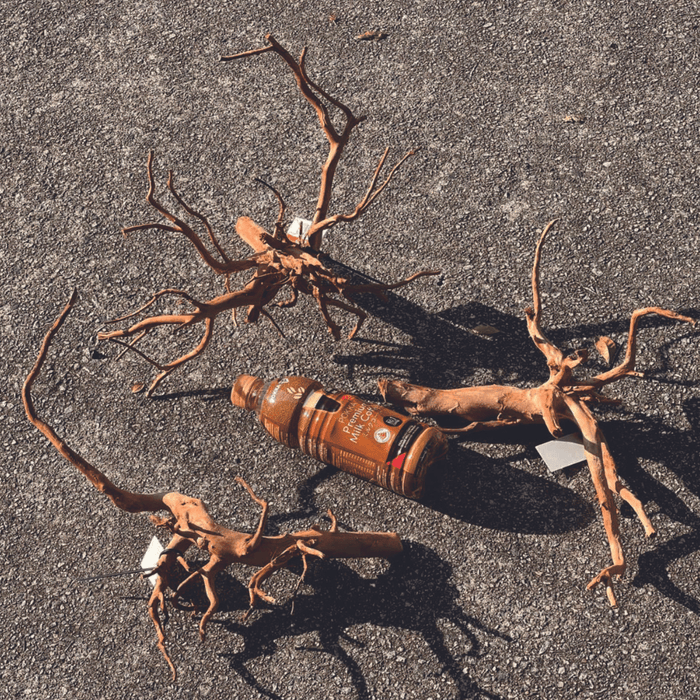 ANS Sumatra Driftwood (various size)