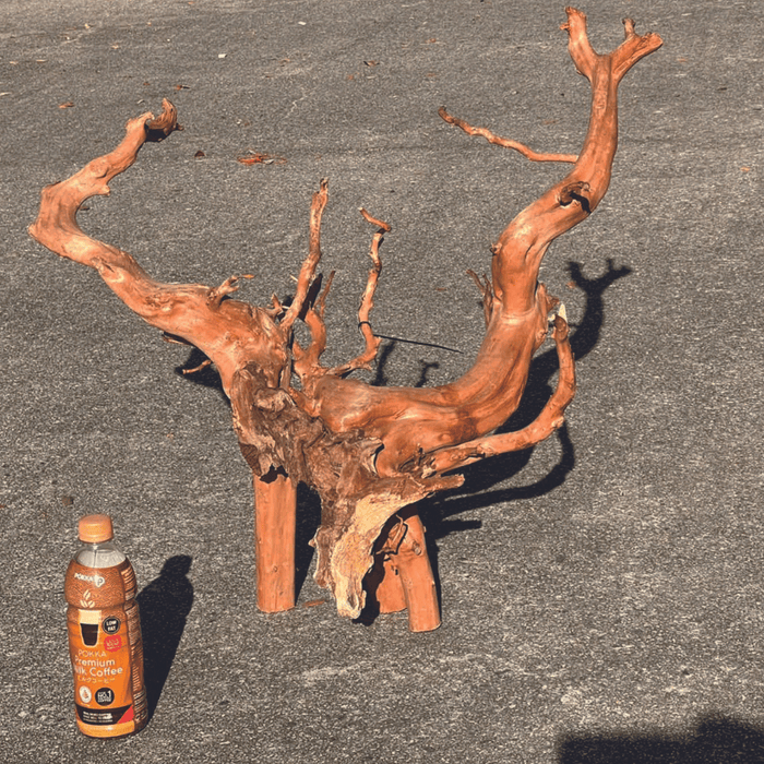 ANS Sumatra Driftwood (various size)