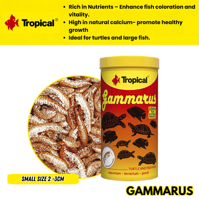 Tropical Gammarus (nature shrimps)