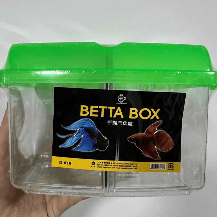 UP AQUA D-016 Betta Box (1pcs) — East Ocean Aquatic