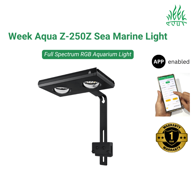 Aquaページ Week Aqua Z-250Z Sea Marine Reef LED Light, Black — East Ocean Aquatic