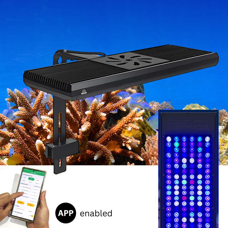 Week aqua Z400SEA Marine light (Reef LED aquarium lamp) — East