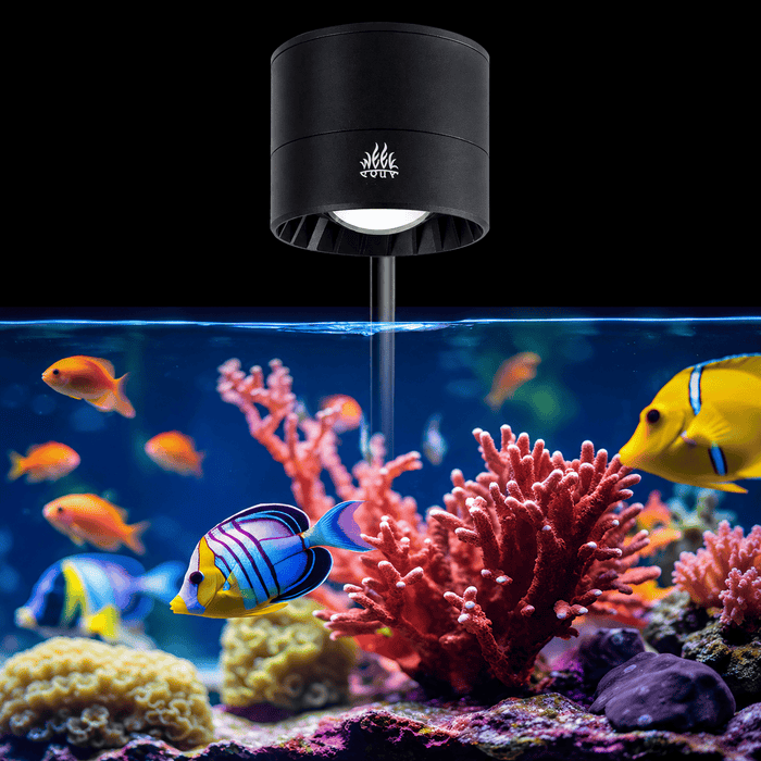 Weekaqua T-95 SEA (Marine)