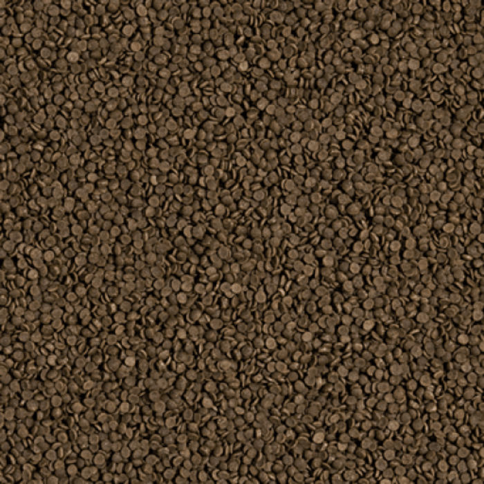 Tropical Welsi Gran (mini sinking wafer)