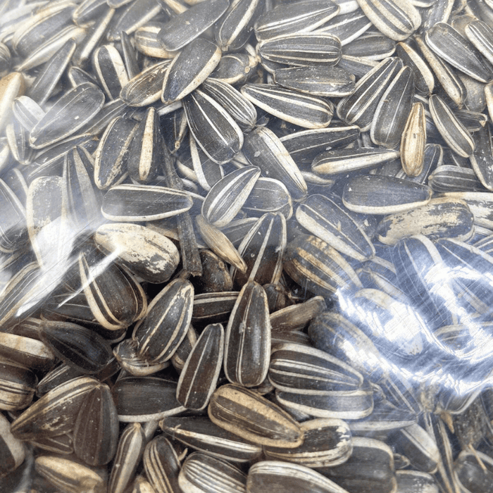 Nature Grains Striped Sunflower Seed (small) 2kg