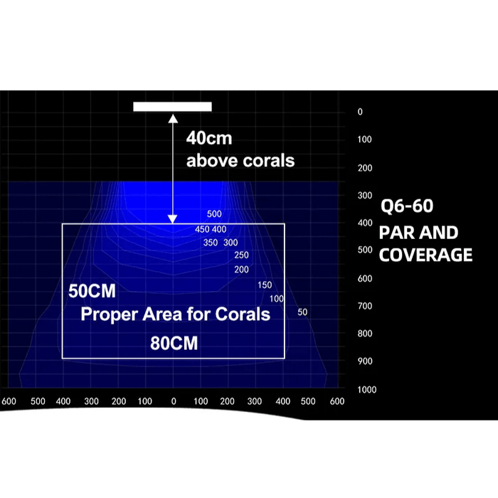 ZETLIGHT Q6-60 Marine Light (95W)