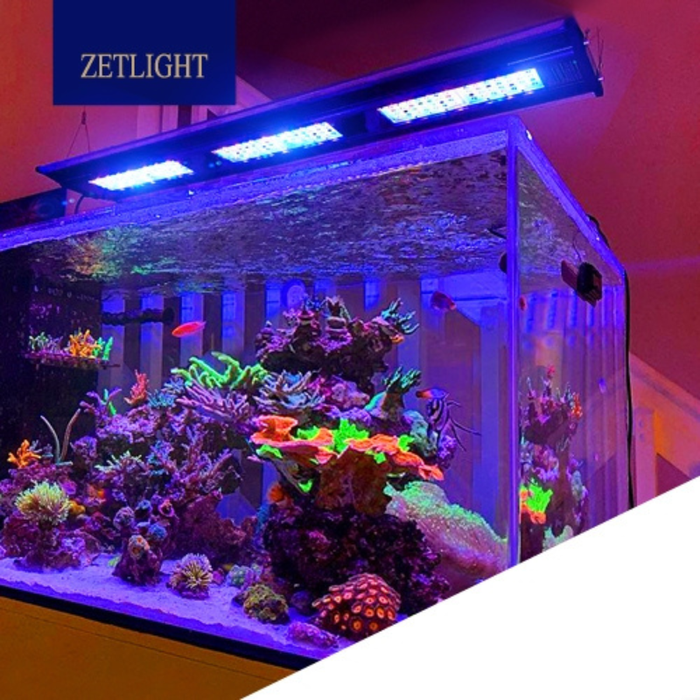 ZETLIGHT Q6-60 Marine Light (95W)