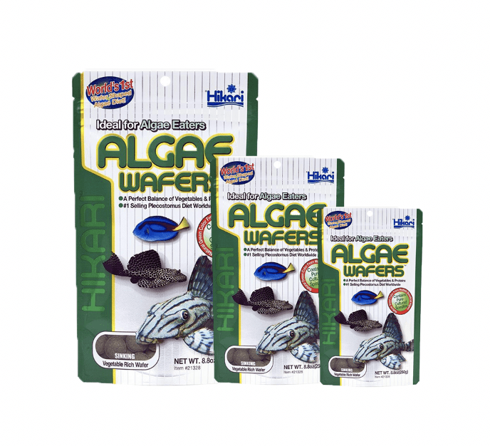 HIKARI Algae Wafers — East Ocean Aquatic