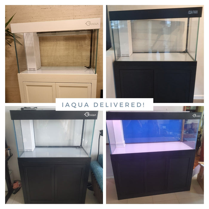 IAQUA 180 - Crystal Glass Aquarium (Complete w/ Sump & Aluminum Cabinet)