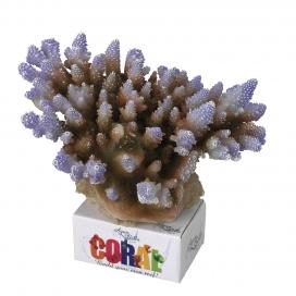 LAR Coral Module Acropora (Purple)