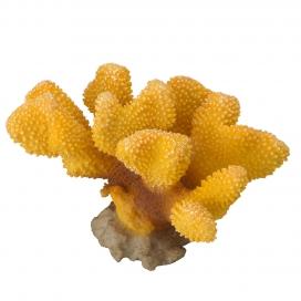 LAR Coral Parvona Cactus (Yellow)