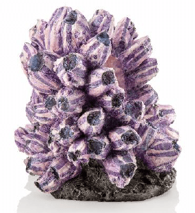 biOrb barnacle cluster ornament