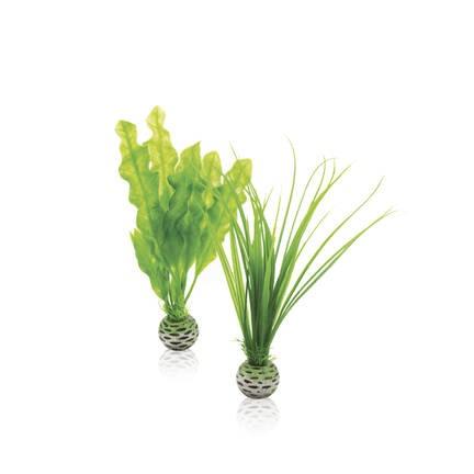 biOrb Easy Plant Set Green