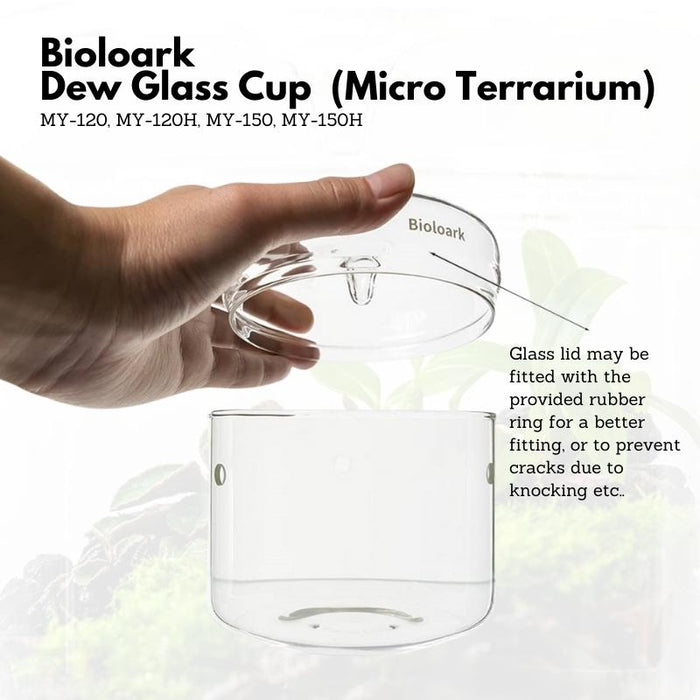 BIOLOARK Dew Glass Cup (Micro Terrarium) MY Series