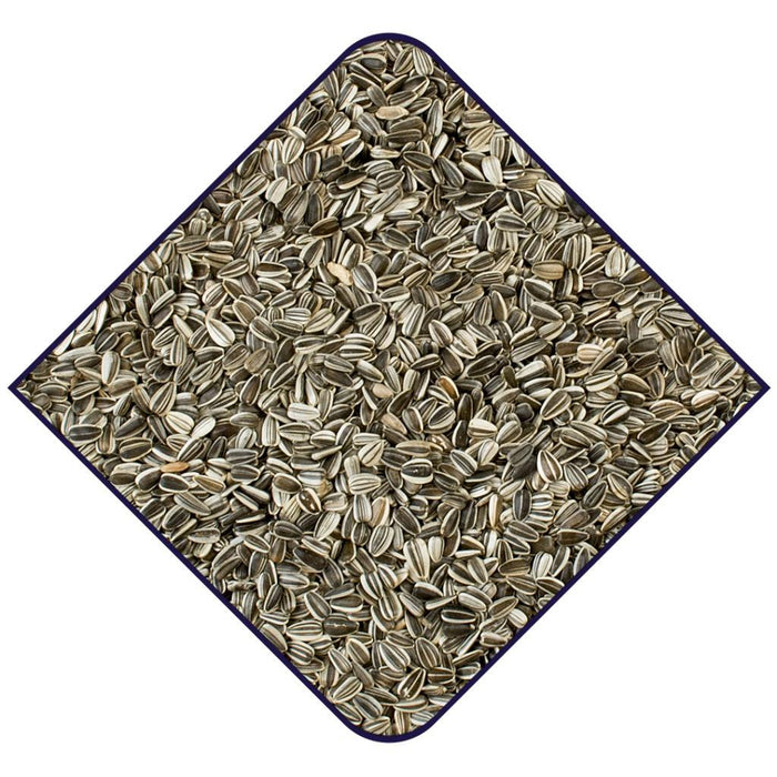 WITTE MOLEN Expert White Sunflower Seeds 12.5kg