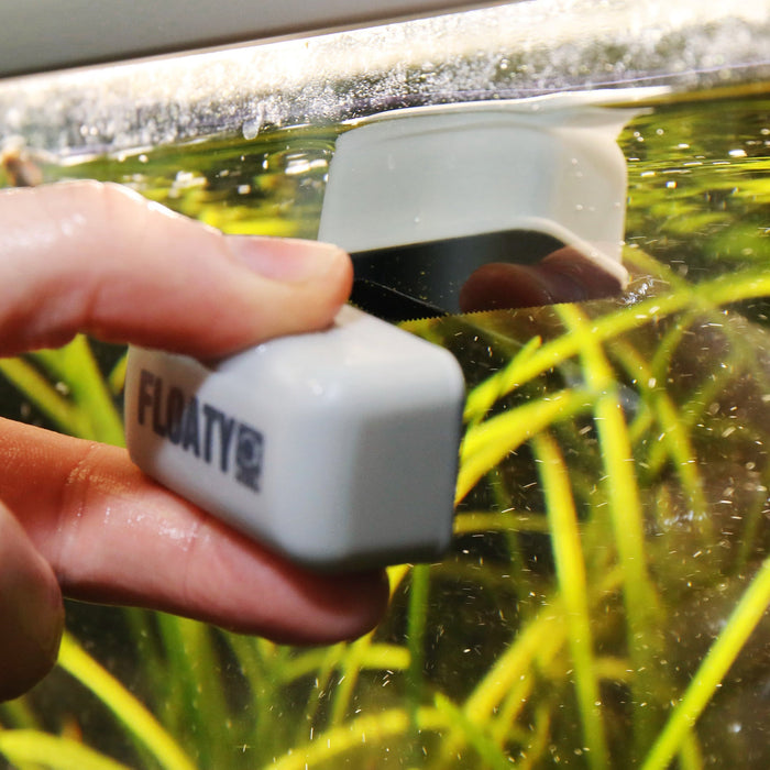 JBL Floaty Mini (small magnetic cleaner)