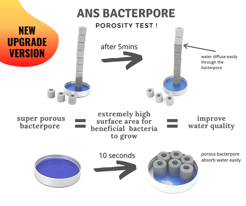 ANS BacterPore Max (Maximum Porosity Filter Media)