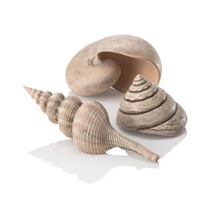 biOrb Sea shell Set