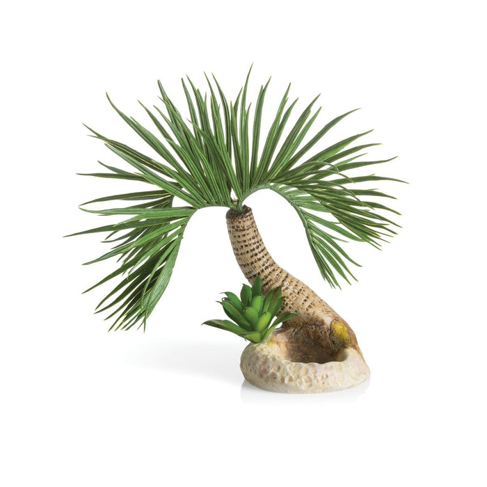 biOrb palm tree Seychelles  S