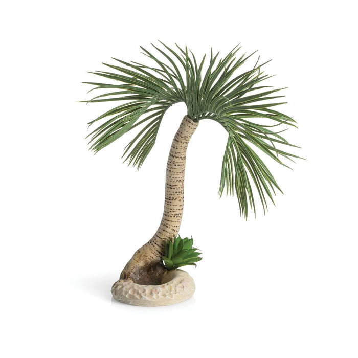 biOrb palm tree Seychelles L