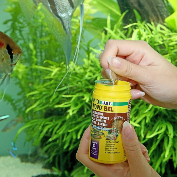 JBL ProNovo Bel Flakes S (Mini Flakes For Tropical Fishes)