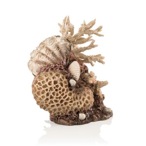 biOrb coral shells ornament natural