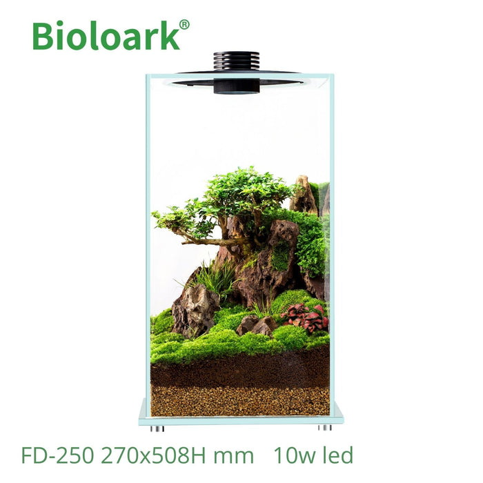 plant terrarium tank BIOLOARK
