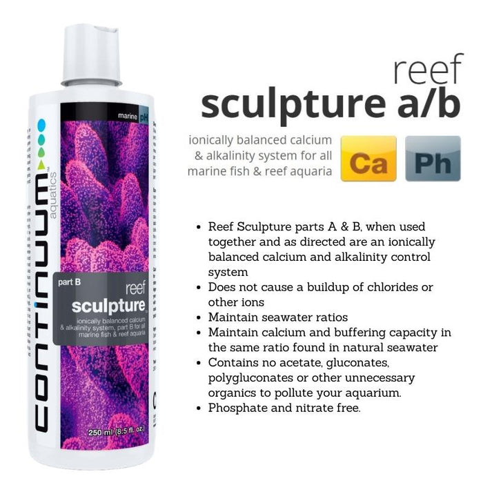 CONTINUUM Reef Sculpture Part B Liquid (Liquid dosing)
