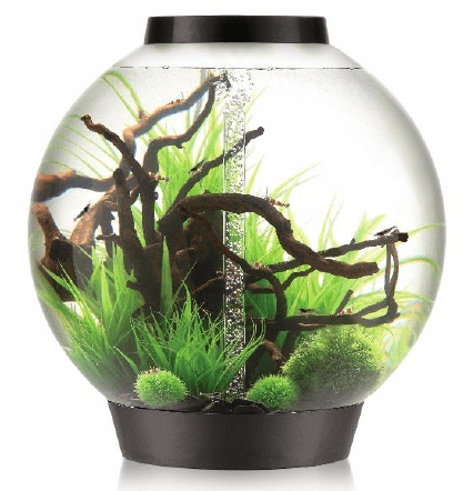 biOrb CLASSIC 105 Aquarium (MCR - Multi-Color Remote) Black