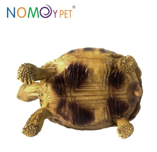 NOMOYPET A5 Turtle Decoration